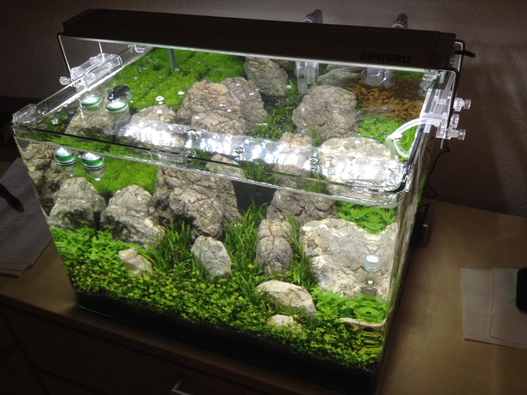 Aquarium-Projekt Empfangsbereich