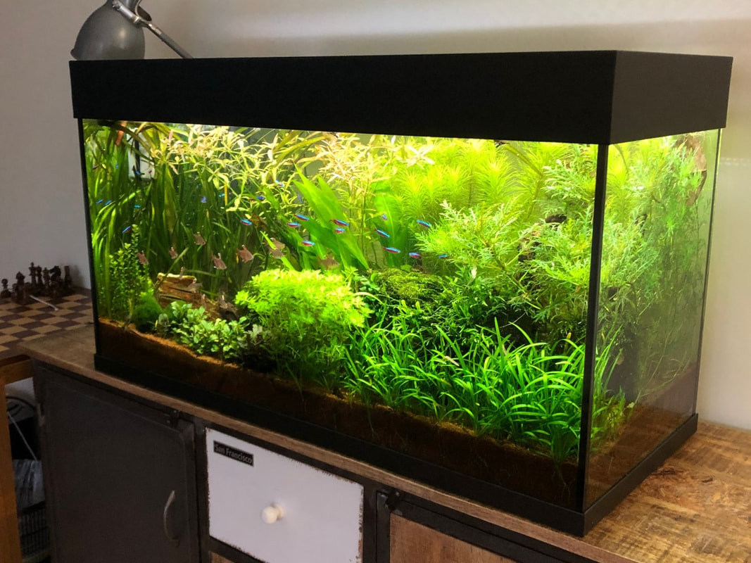 Aquarien-Technik: Pumpen, Filter, Beleuchtung