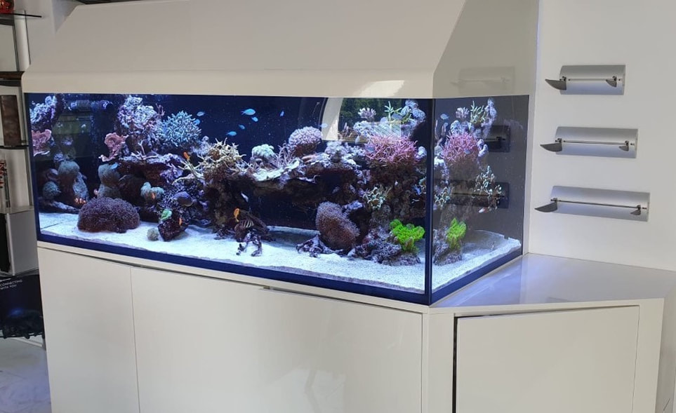 Aquaristik-Sortiment und Zubehör