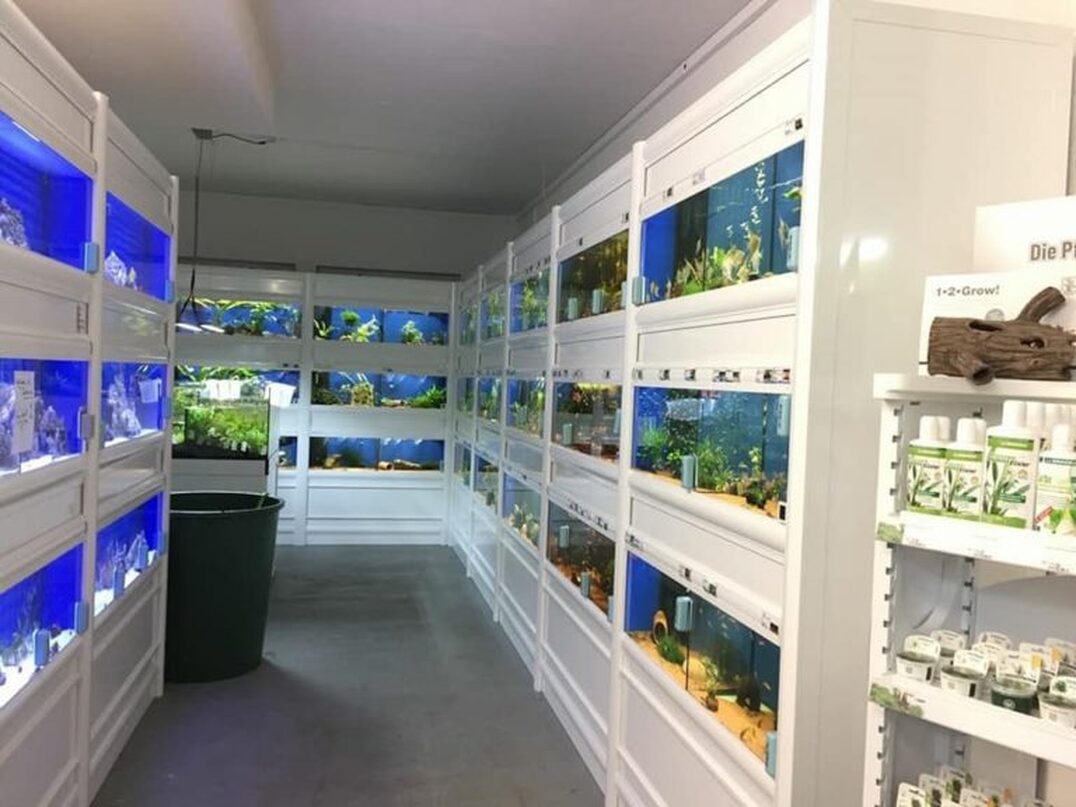 Aqua Designs Showroom Winterthur — über 100 Aquarien
