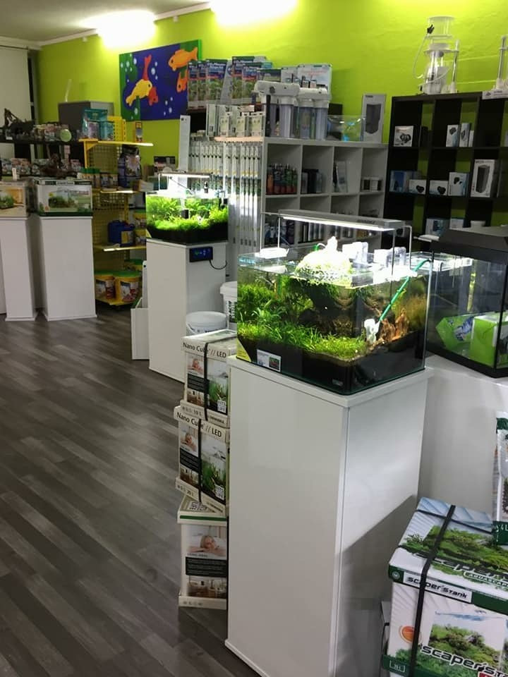 Aquaristik-Zubehör und Sortiment